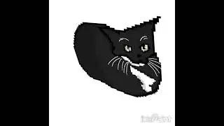 Максвелл кот 2д анимация #анимация #shotrs #maxwellcat #максвелл #maxwell #cat #арт #animation