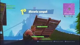 AoD-Limonsito Fortnite cn Queldanas