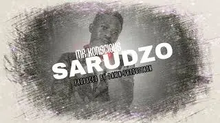 Mr Konscious - Sarudzo [Official visualizer]