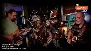 One Too Many Mornings - Bob Dylan cover live The Whiskey Wednesday Show 2025 Annual Dylan Evening...