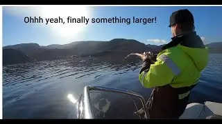 Fjordfiskeguttta Ep12. April 2021 Oster- Romarheimsfjorden. One day fishing! Ling, hake, pollock++