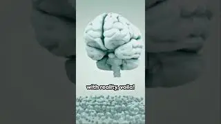 The Mind-Bending World of Optical Illusions! 🌀👀 | Short & Sweet Science