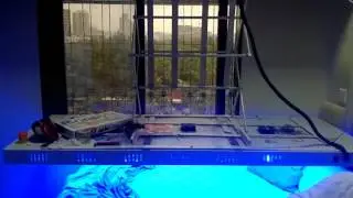 SG SYSTEMS TO MOTORISED LED BED LIGHT