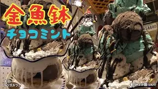 【デカ盛り】大好きなチョコミントを金魚鉢でパフェにしてくれるお店！！〜ランズカフェさん〜【大胃王】【大食い】【大分県】