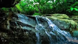 Relaxing Sounds of a Pristine Mountain River for Calm Sleep
