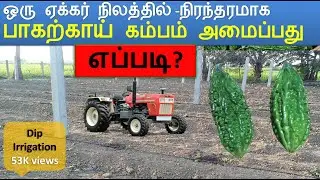 பாகற்காய் சாகுபடி பந்தல் கம்பம் அமைக்கும் முறை (ஒரு ஏக்கரில்) - Dip irrigation Bitter Gourd Cultivtn