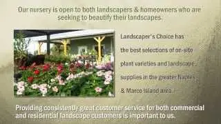 Landscapers Choice