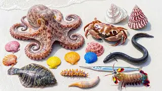 ВАУ! 🐙 Гигантский осьминог, 🌈 Разноцветные креветки-богомолы, 🐍 Угорь, 🐚 Красивые раковины, 🗡️ Ме...
