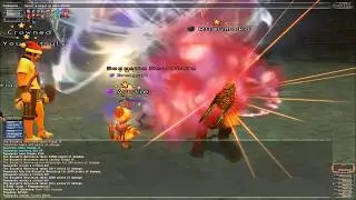 Final Fantasy XI: Poroggo Ambuscade