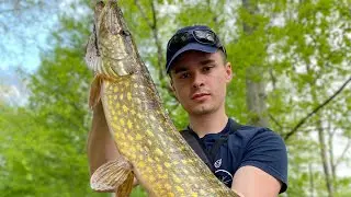 Ouverture Brochet 2022 🎣