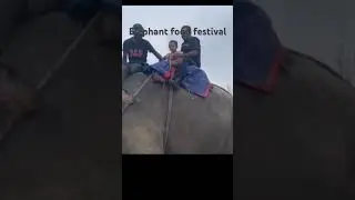 Elephant food festival programme at Chitwan National Park Nepal .