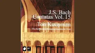 Ich bin ein guter Hirt BWV 85: Aria: Jesus ist ein guter Hirt