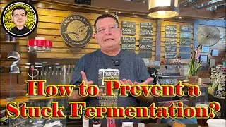 How to Prevent A Stuck Fermentation?