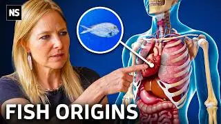 The Real Story of Humans Is Stranger Than We Thought