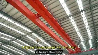 Double beam bridge crane