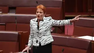 One Nation is ‘destroying’ the Liberals and Nationals in polls