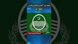 Stray Dogs Policy - Lahore High court  Animal Birth Control Policy | breaking news | News Pakistan