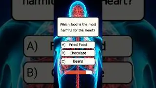 Human Body Quiz And answers #shorts #quiz #trivia