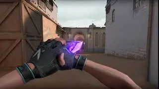 Singularity Melee Lv2 animation