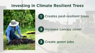 Increasing Urban Forest Resilience to Emerald Ash Borer and Climate Change