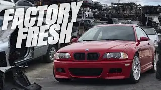 Rebuilding My Project E46 M3 Until It's Brand New Again...