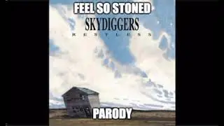 Skydiggers &ldquo;Feel You Closer&rdquo; parody
