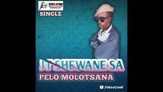 JT SHEWANE SA,  PELO MOLOTSANA OFFICIAL SINGLE @kmanthedj9219 