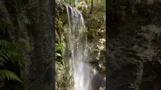 75ft waterfall in Florida? Falling Waters State Park