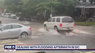 Storm cleanup continues across DC region following heavy storms | FOX 5 DC