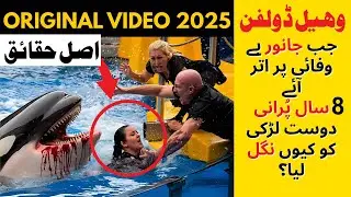 The Jessica Radcliffe Orca Attack: Urdu/Hindi Explained