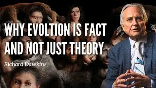 Evolution Isn&rsquo;t a Guess - It&rsquo;s a Verdict: Richard Dawkins Explains &ldquo;Evidence&rdquo;
