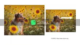 El color en la fotografía