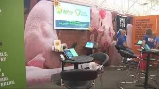 World Pork Expo wraps up first show in three years