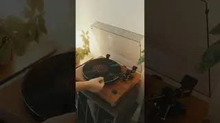 Cozy Vinyl Vibes with the Argon TT4 MK2 | Warm Aesthetic Turntable Setup 🎶🌿