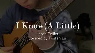 I Know(A Little)｜Jacob Collier｜Solo guitar ver. by Tristan