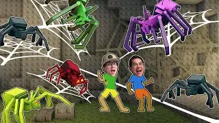 TEMOS UMA CRIAÇÃO DE ARANHAS DENTRO DO NINHO DE TEIAS!!