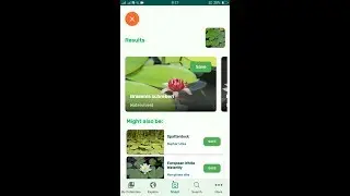 PlantSnap identifies a Watershield (Brasenia schreberi)