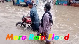 dangerous flood disaster in moro sindh 16 08 22