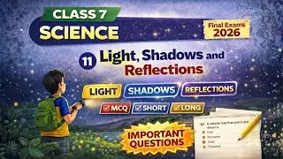 Light: Shadows and Reflections | Class 7 Science Chapter 11 | Important Questions | Final Exams 2026