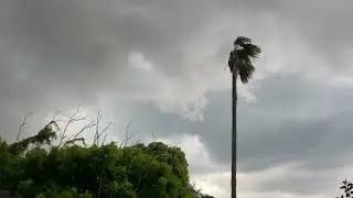 Storm Gone Wild! Lake Charles, Louisiana #lookup #wind #rain #chickens #turtle #thunderstorm #2025