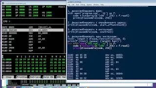 py303 Дизассемблер intel 8086