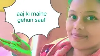 Aaj ke gehun saaf 🌾🌾