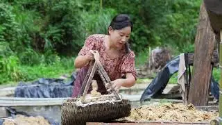 Asian Traditional Bamboo Paper Making