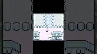 Pallet Town is a Prison #gaming #pokemon #nintendo #tomeofsilver