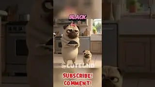 I Don&rsquo;t Want Black Rice! 🐶🍚🔳🍉 #puppy #pug