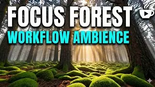 Focus Forest Workflow Ambience | Deep Green Noise for Concentration [1 Hour]