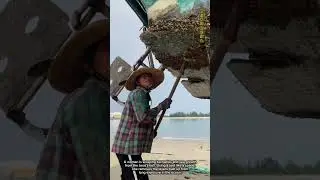 Cleaning Barnacles from a Boat Hull