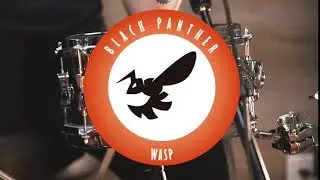Mapex Black Panther Wasp Snare - Quick Bite Program