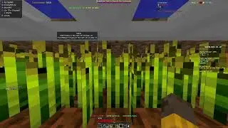 NEWEST Best Macro | Cheeto Client | Hypixel SkyBlock | June 2024