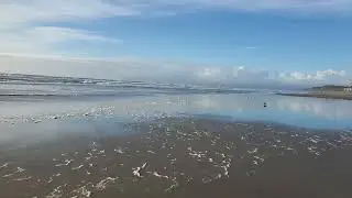 California Beach 
